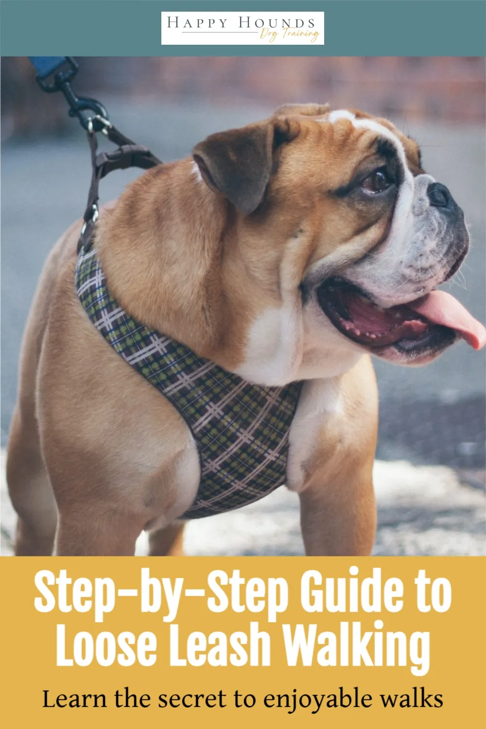 Step-by-step guide illustration for teaching a dog loose leash walking