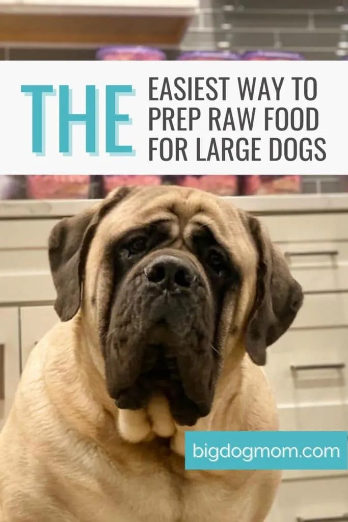 Step-by-step raw dog food meal prep process for large breed dogs