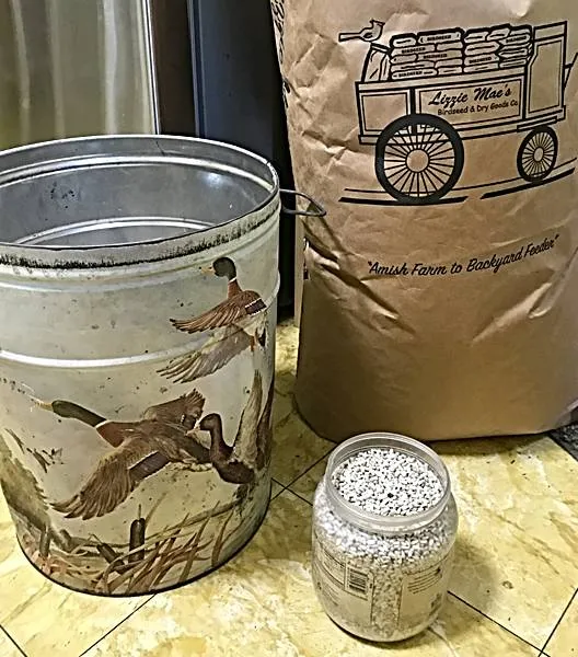 Storage Tin and Safflower Seed