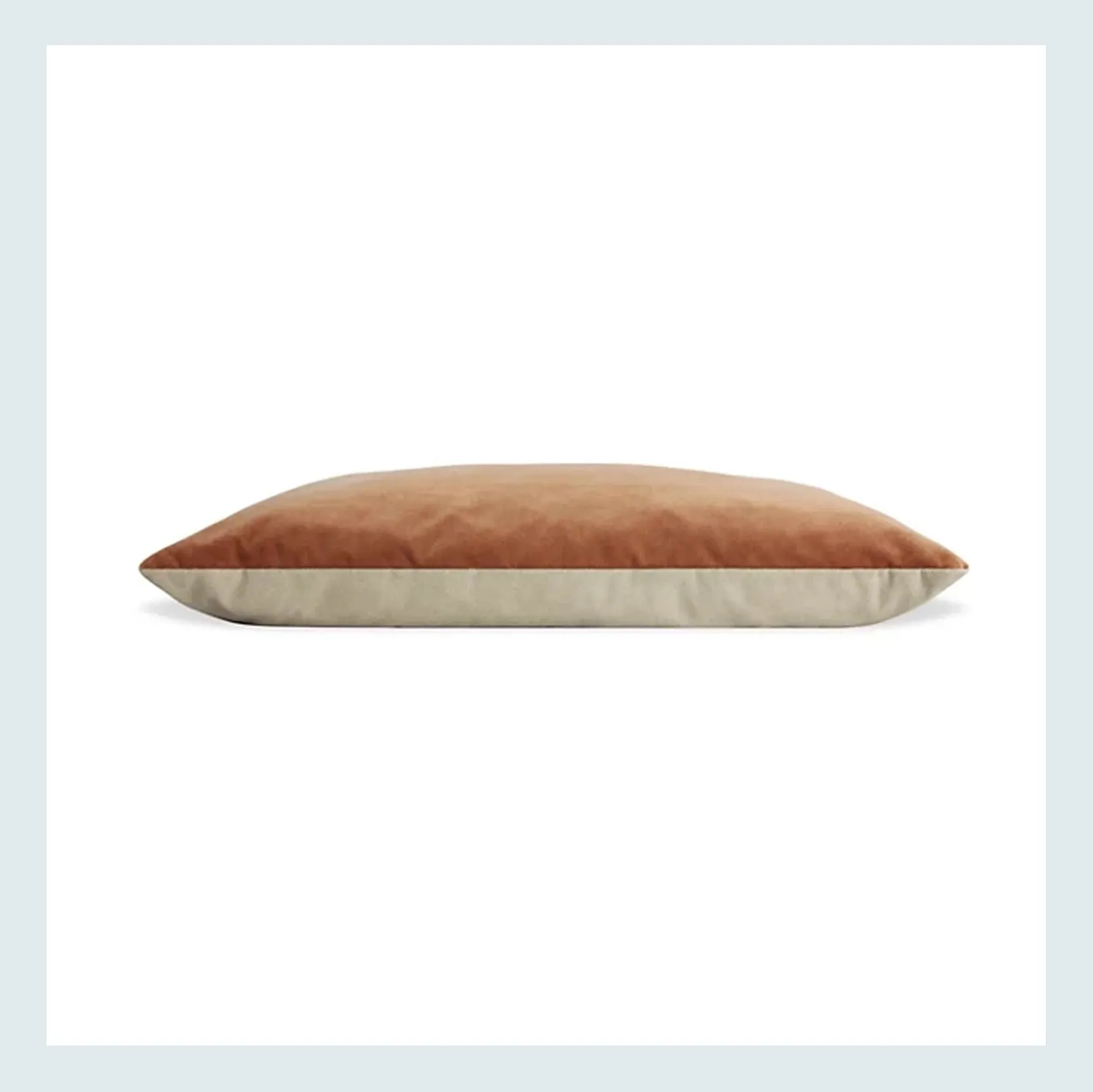 Stylish two-tone Signal Dog Bed in a modern home setting