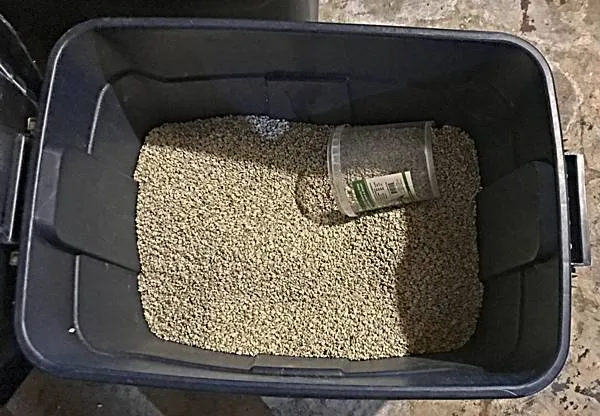 Sunflower Seed in a Storage Bin