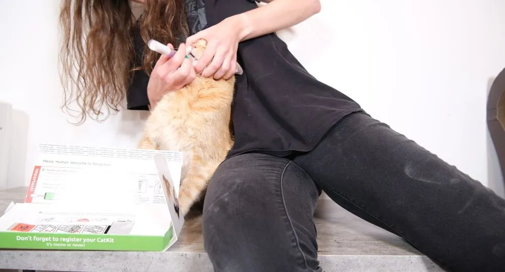 Swabbing Wessie Basepaws test