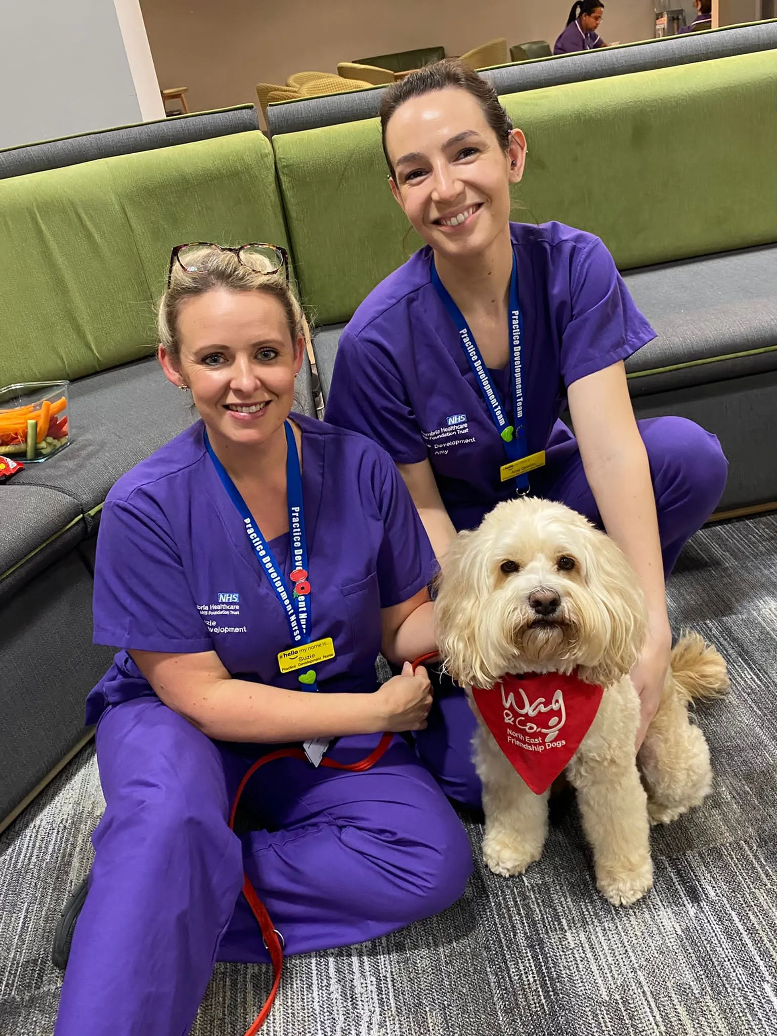 Teddy the Toodle interacting playfully with a hospital staff member in uniform