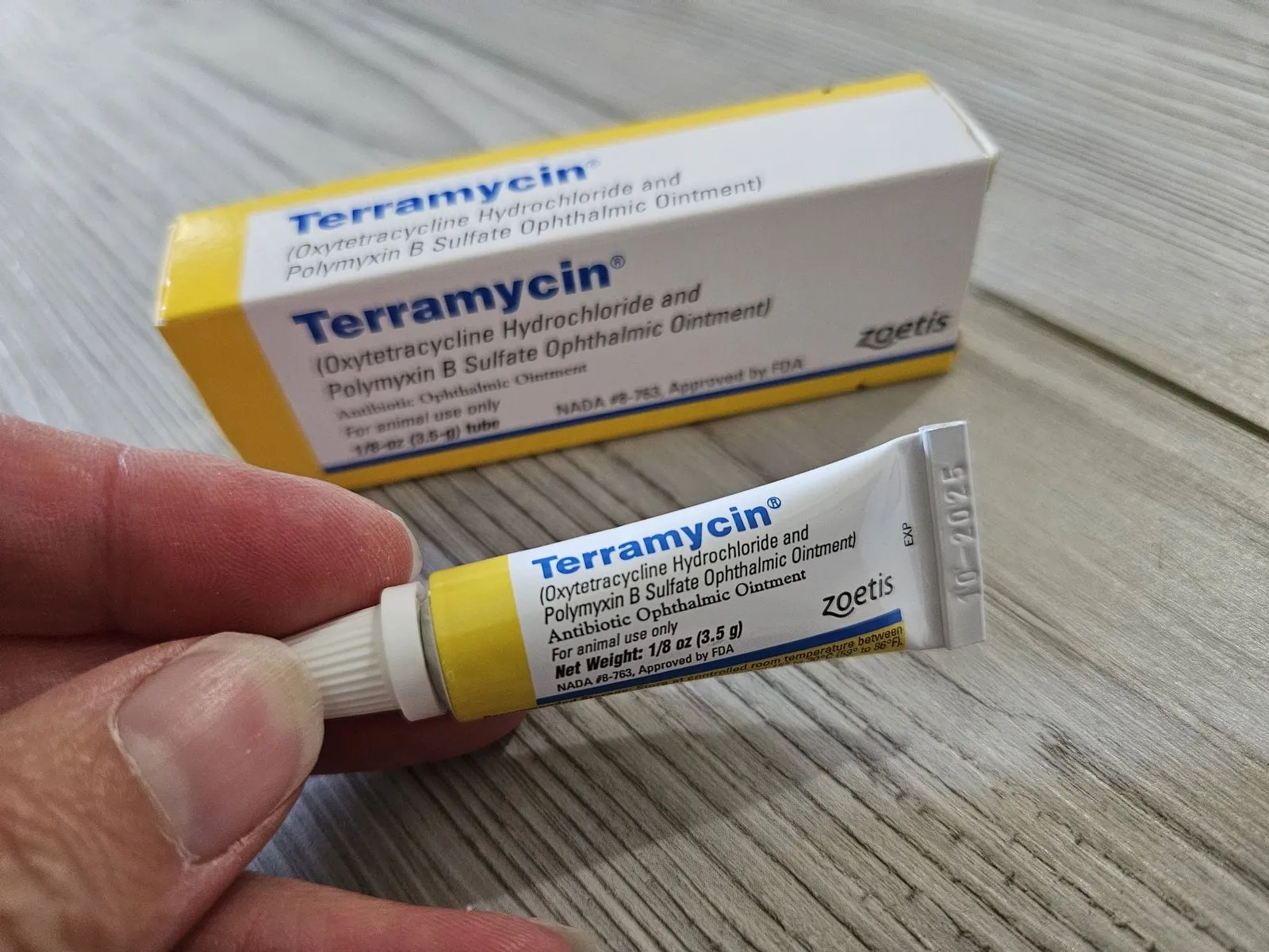 Terramycin Antibiotic Ointment packaging, a common treatment for bacterial eye infections