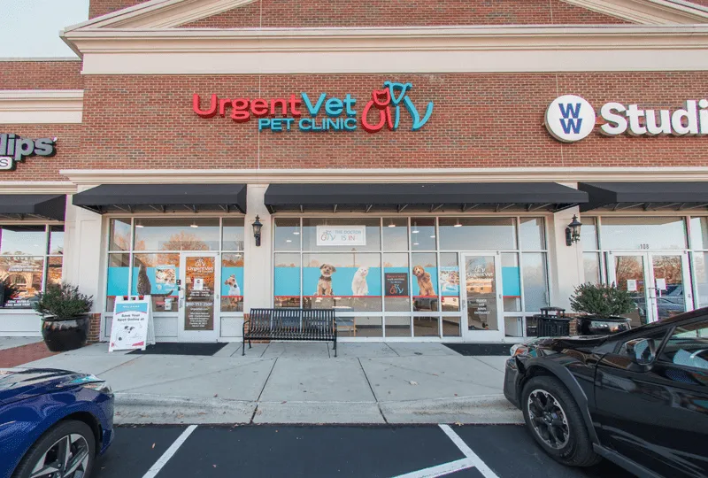 The clean and modern reception area of a veterinary clinic, featuring comfortable seating and a warm atmosphere.