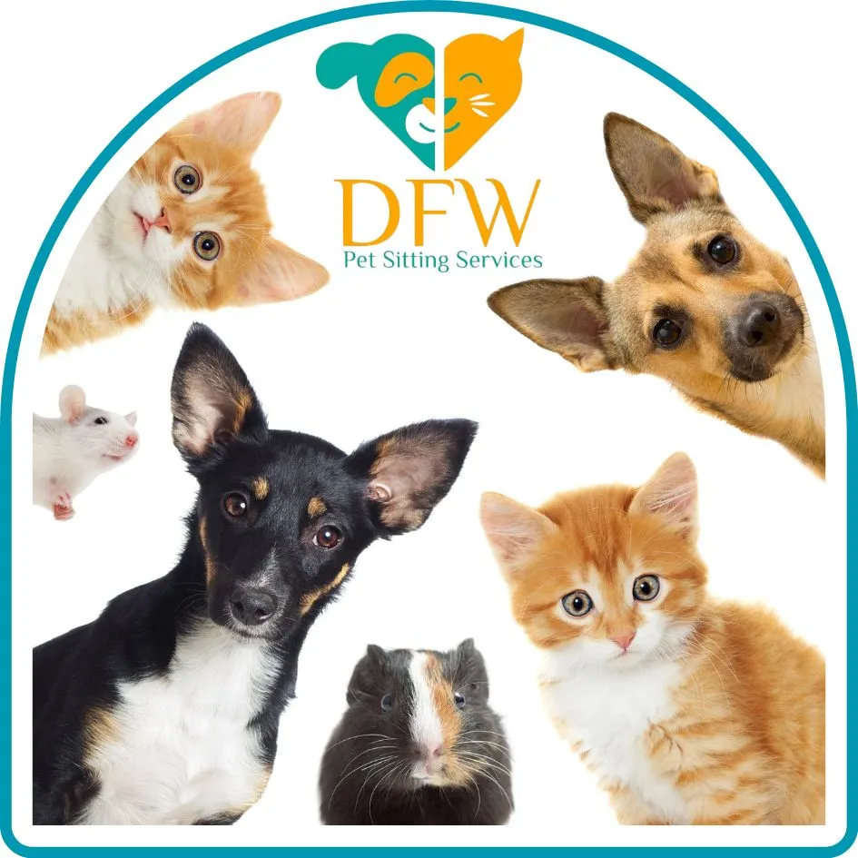 The DFW Pet Sitting Services logo is surrounded by various pets, including dogs, cats, and small animals, illustrating the diverse range of pets cared for