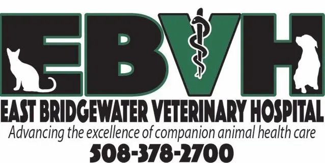 The exterior of a modern veterinary hospital, signifying a trusted location for advanced animal care.