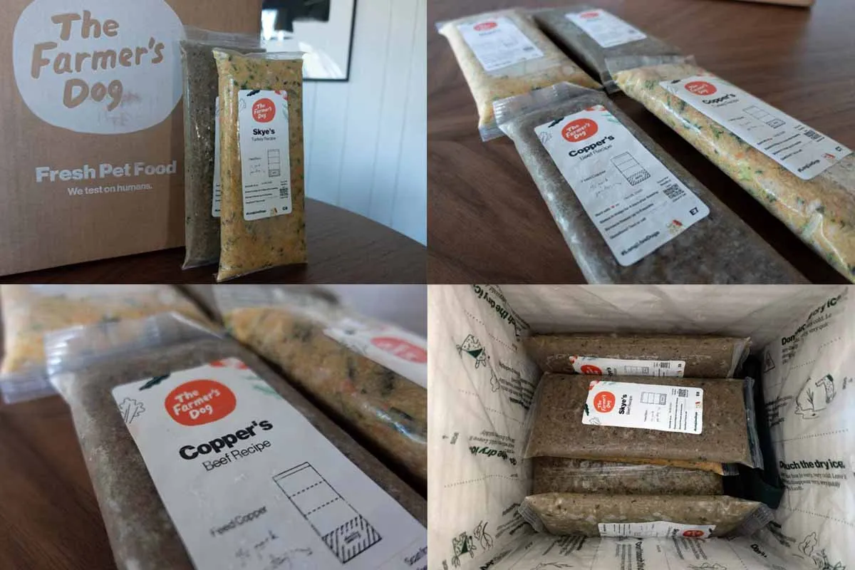 The Farmer’s Dog pros and cons overview featuring packaged fresh meals