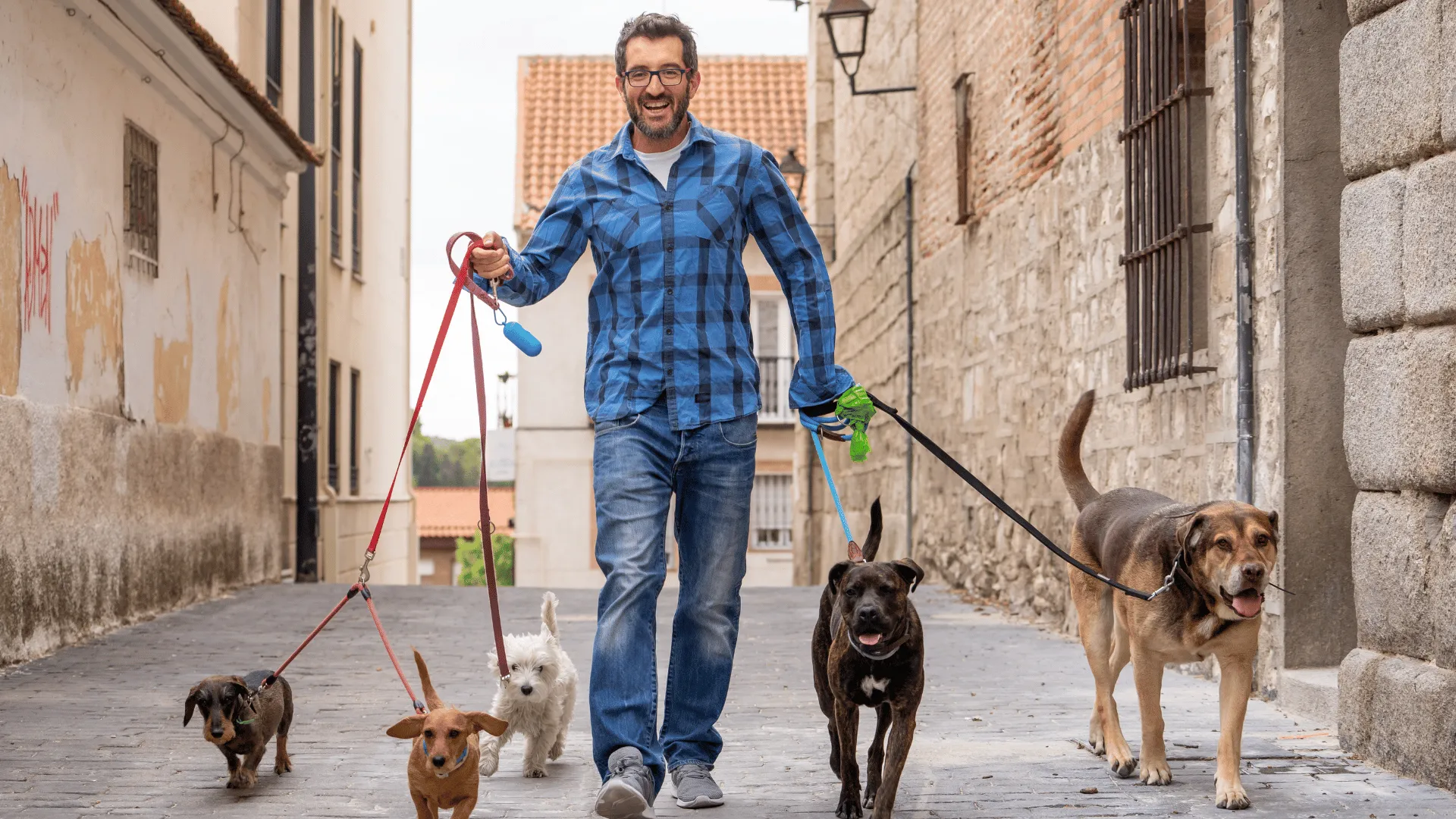 The Role of a Pet Sitter