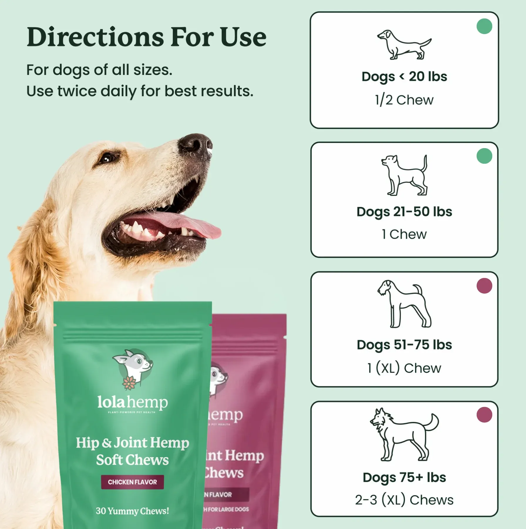 This image lists the directions for use of Lolahemp