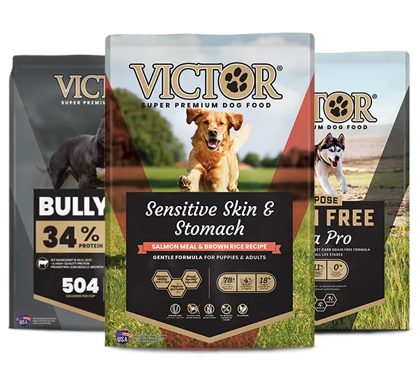 Three bags of Victor Grain Free Purpose dog food