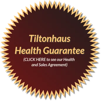 Tiltonhaus Health Guarantee Badge