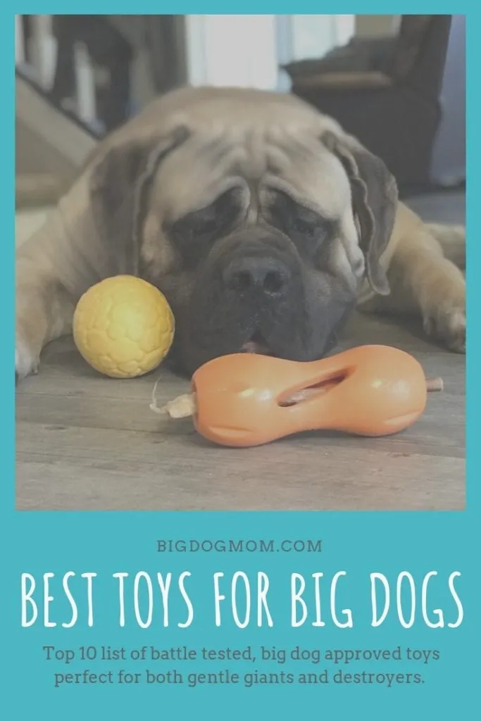 Top 10 Best Toys for Big Dogs