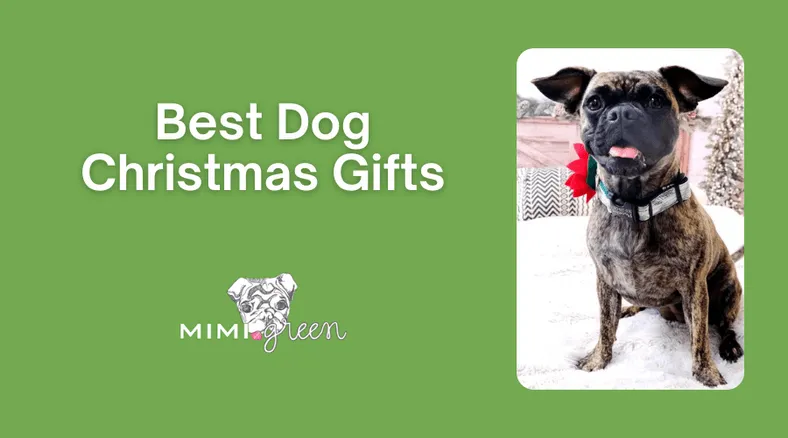 Top ideas for the best dog Christmas gifts in 2025, including personalized collars