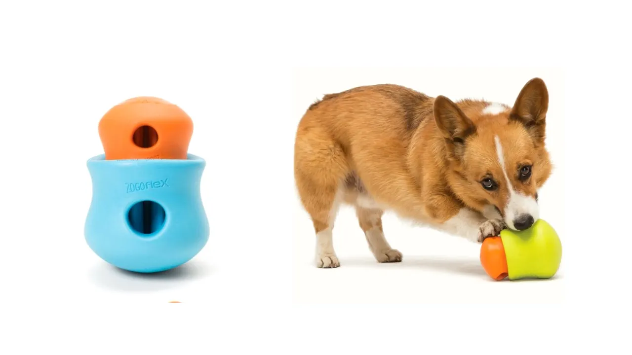 Toppl puzzle toy in action with a dog interacting