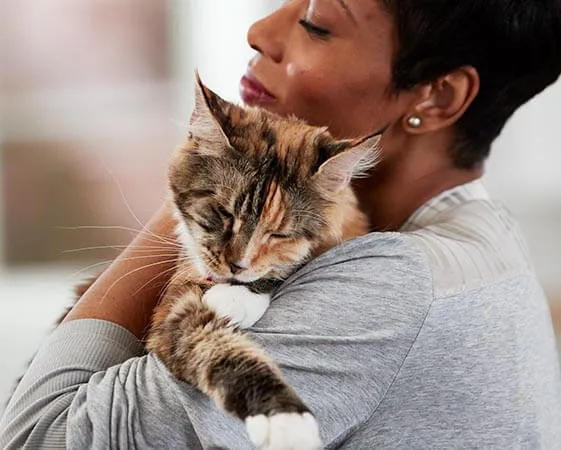 True BLUE Promise shields for natural cat food