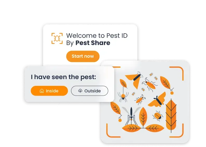 Two birds perched on an outdoor patio set under an umbrella, illustrating a common problem for outdoor furniture owners.