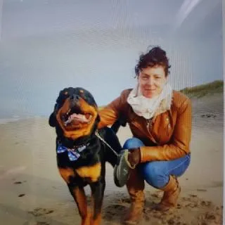 Two dogs playing together on a lush green lawn, one golden retriever and one smaller mixed breed