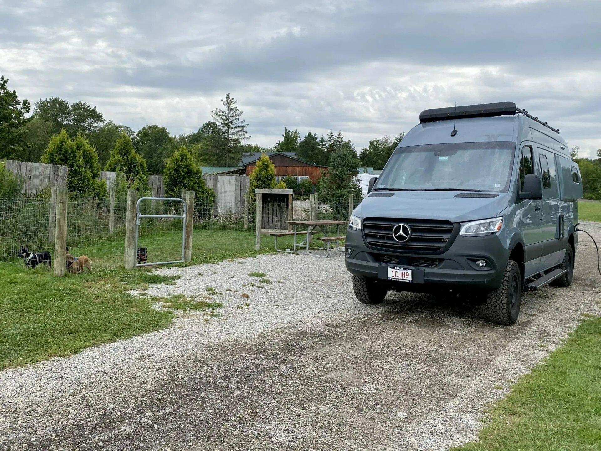Two dogs relaxing inside a spacious, landscaped dog pen at Thompson / Grand River Valley KOA