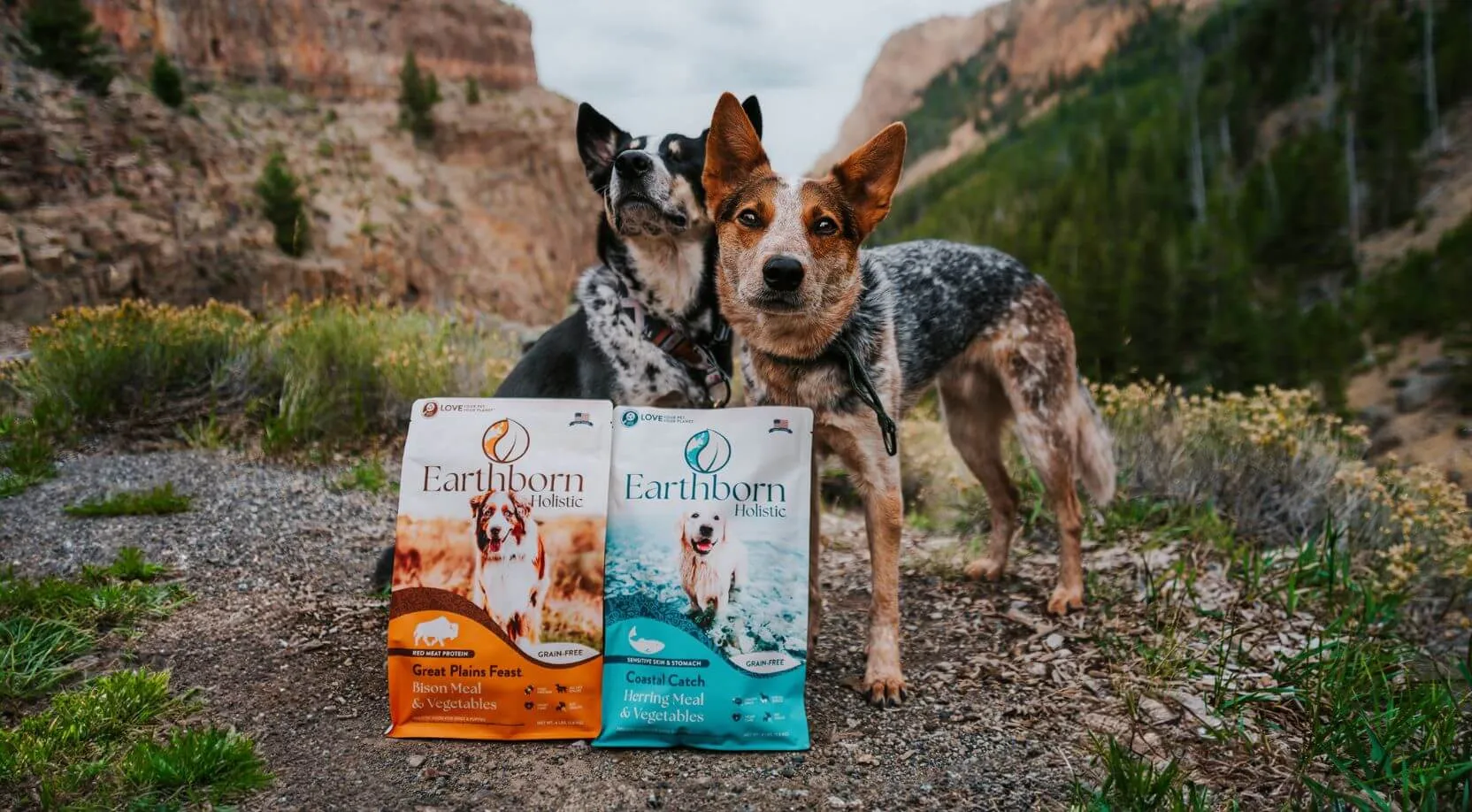 Two dogs stand outdoors next to Earthborn Holistic grain-free dog food bags