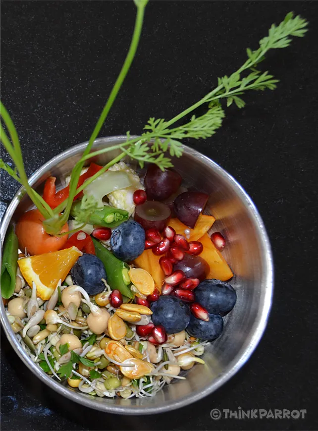 Typical breakfast bowl for Pionus parrot with fresh fruits, veggies, and sprouts
