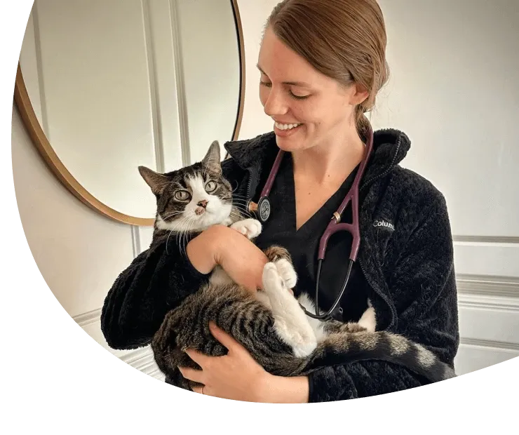 Veterinarian examining a dog during a home visit