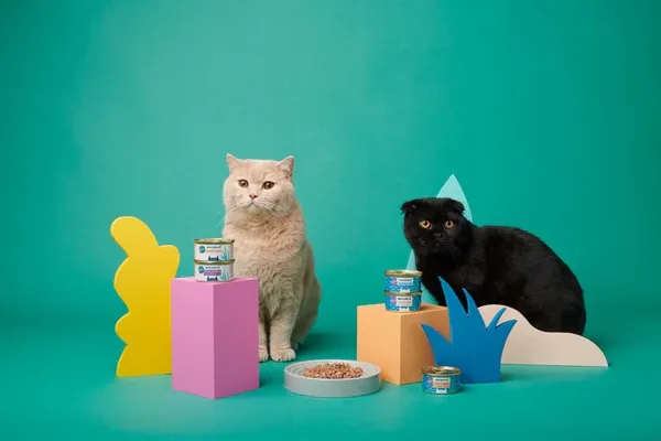 Vibrant blue-toned cat enjoying nutrient-rich meal