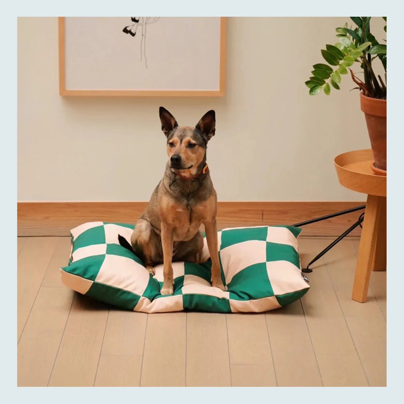 Vibrant green and white checkered Fritz Bed Grande for dogs