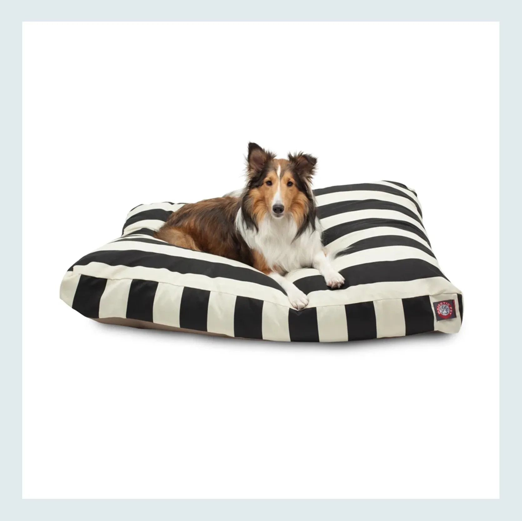 Vibrant patterned Majestic Washable Pet Bed for dogs