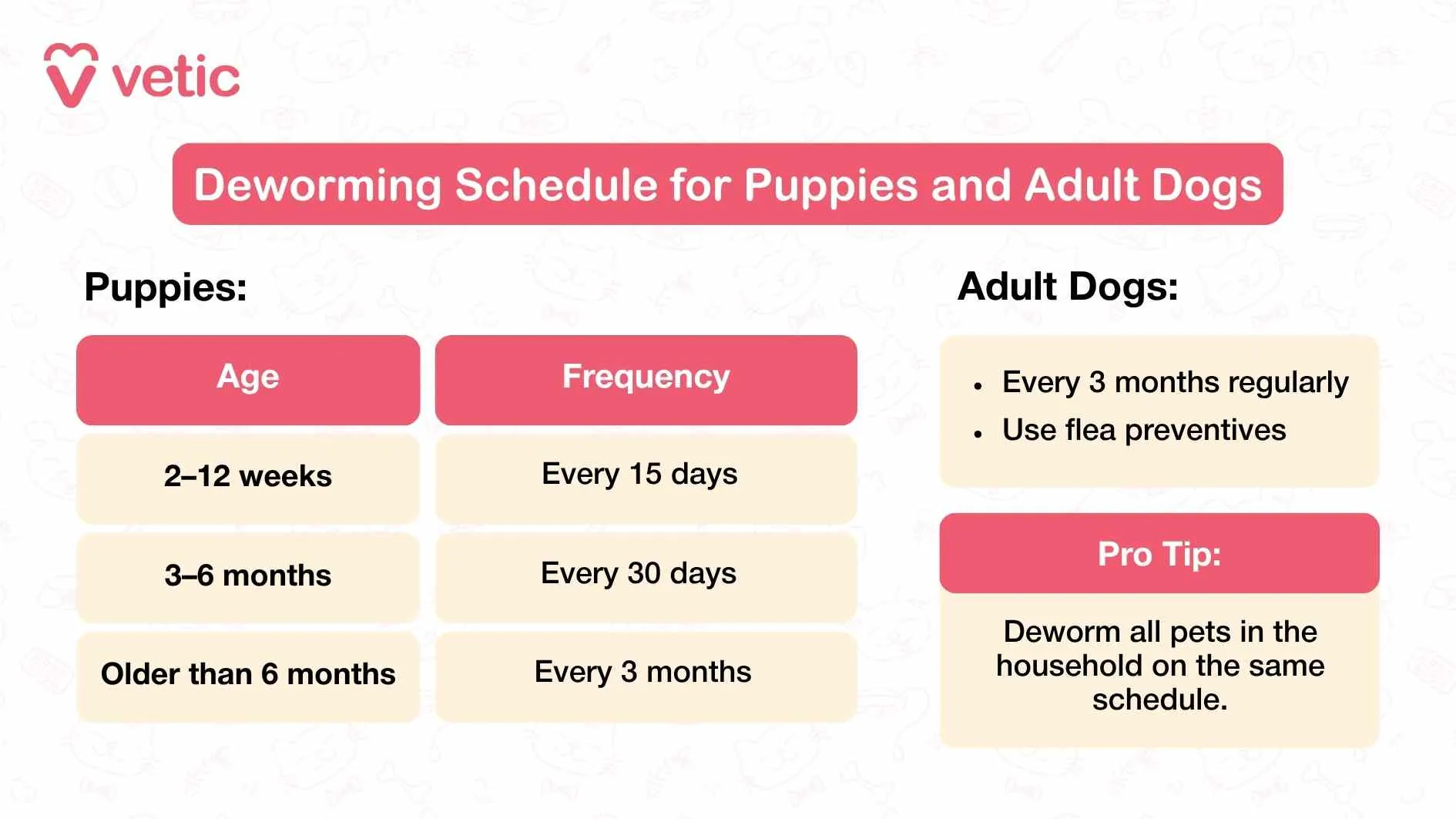 Visual guide outlining the time-sensitive deworming schedule for puppies and adult dogs, emphasizing early and frequent dosing for young pups.