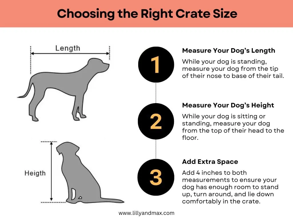 Visual guide to selecting the best size x large dog crate