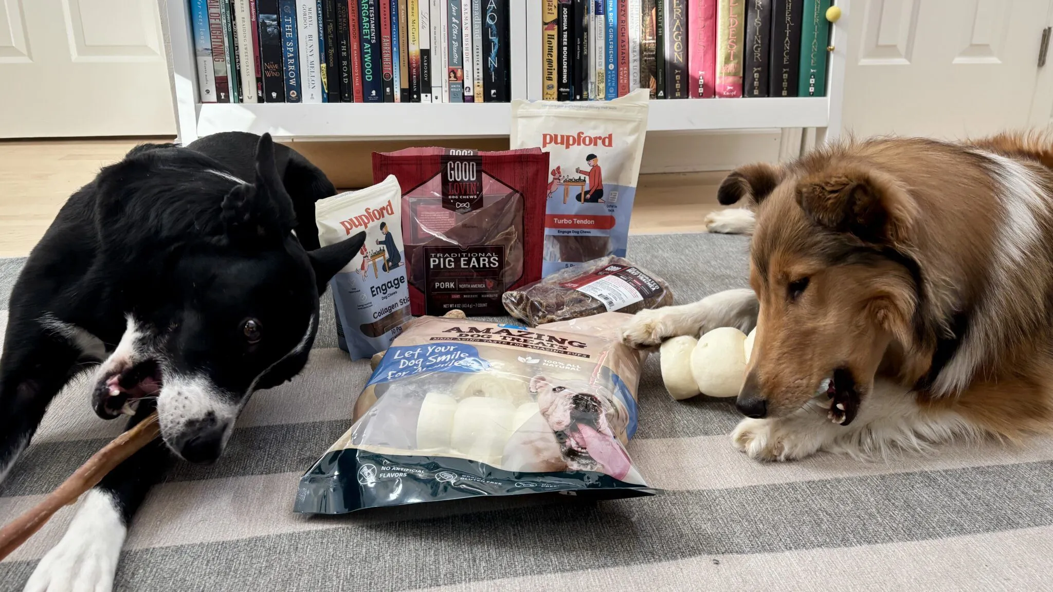 When deciding which chew bones are best for your dogs, it is important to consider how strongly they chew. Credit: Jae Thomas