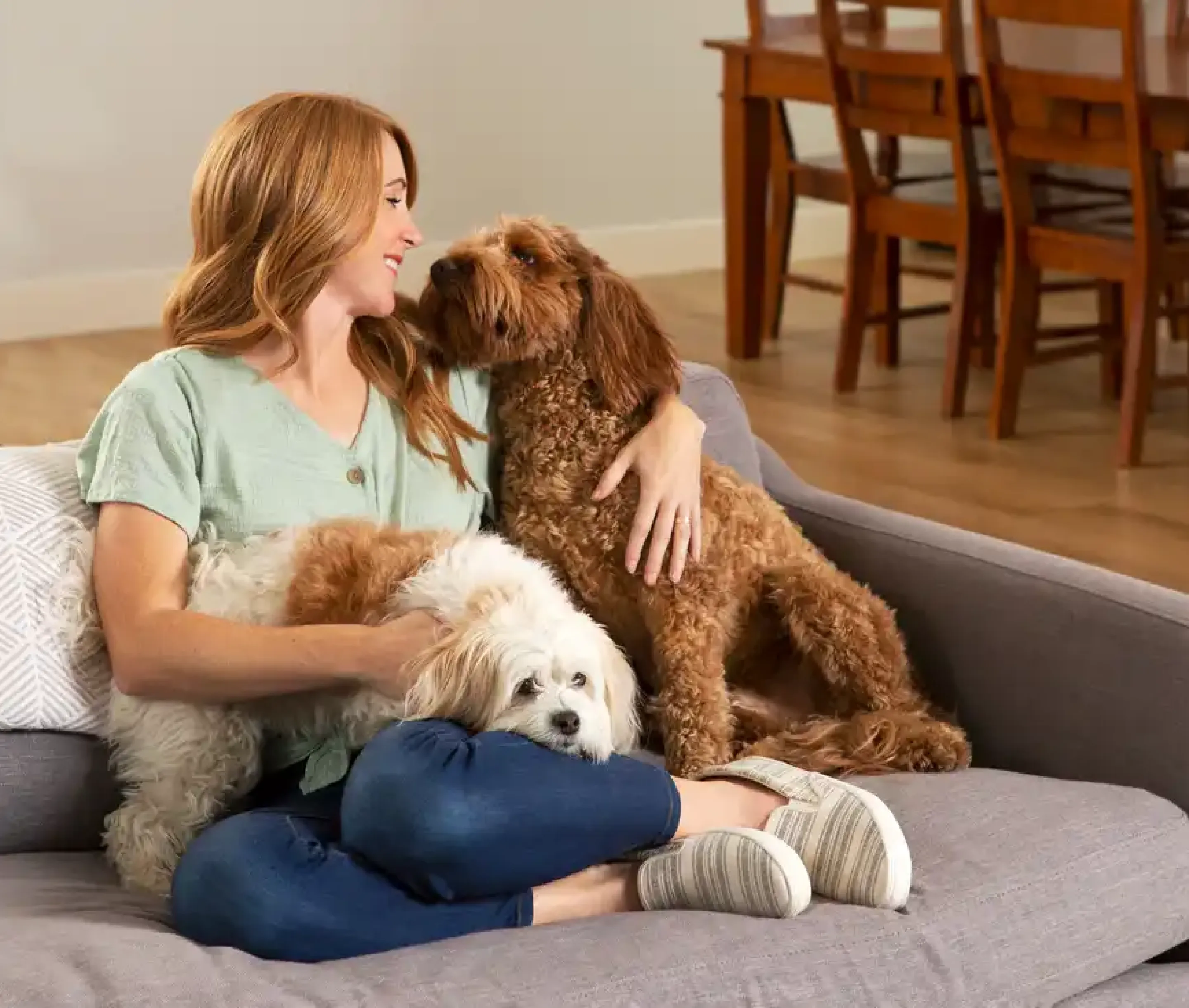 Wild Earth Pet Parents interacting with their dogs