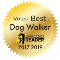 Windy City Paws recognized as Best Dog Walker in Chicago