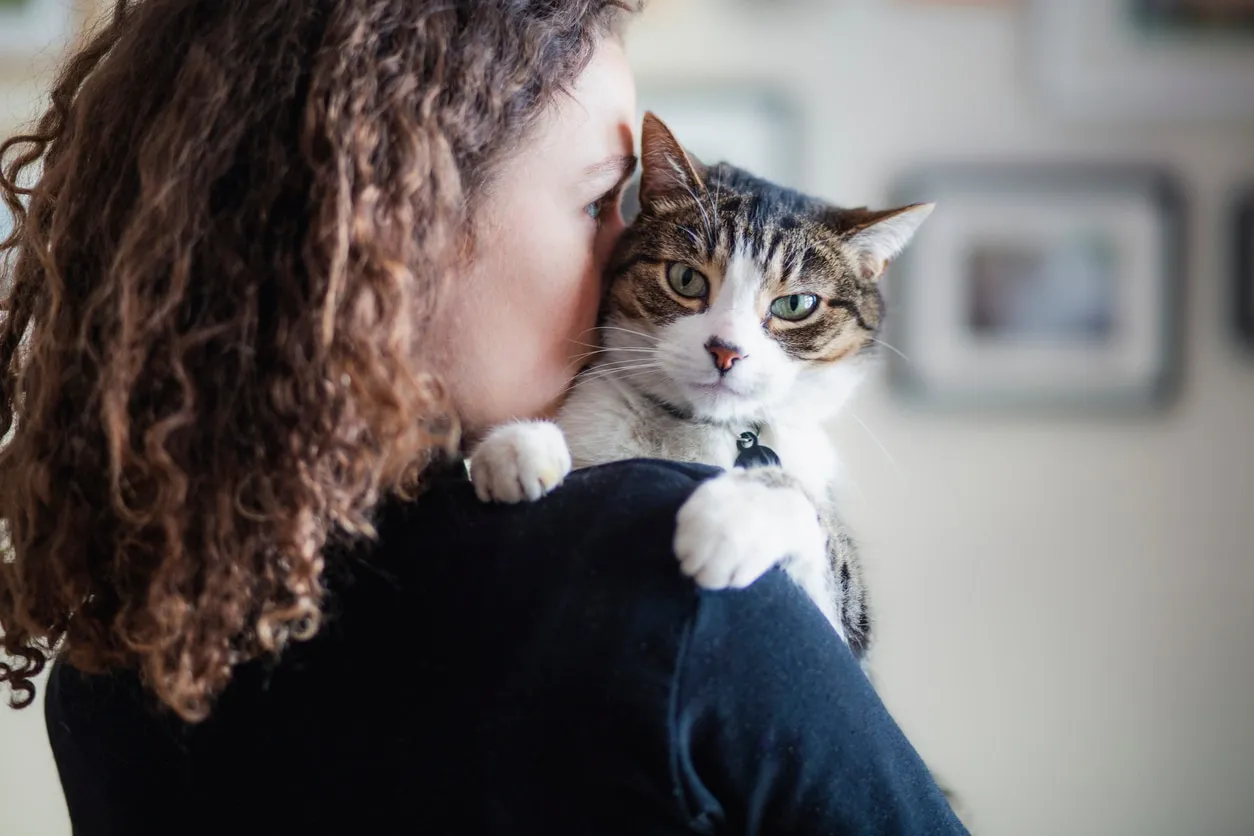 Woman holding a white and brown tabby domestic cat