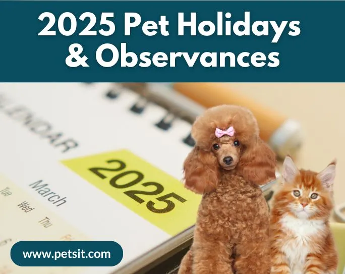 Woman walking a happy dog on a leash through a park