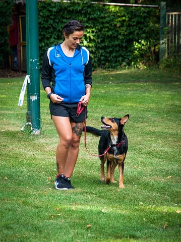 Woman walking attentive black and tan dog on a leash in a park
