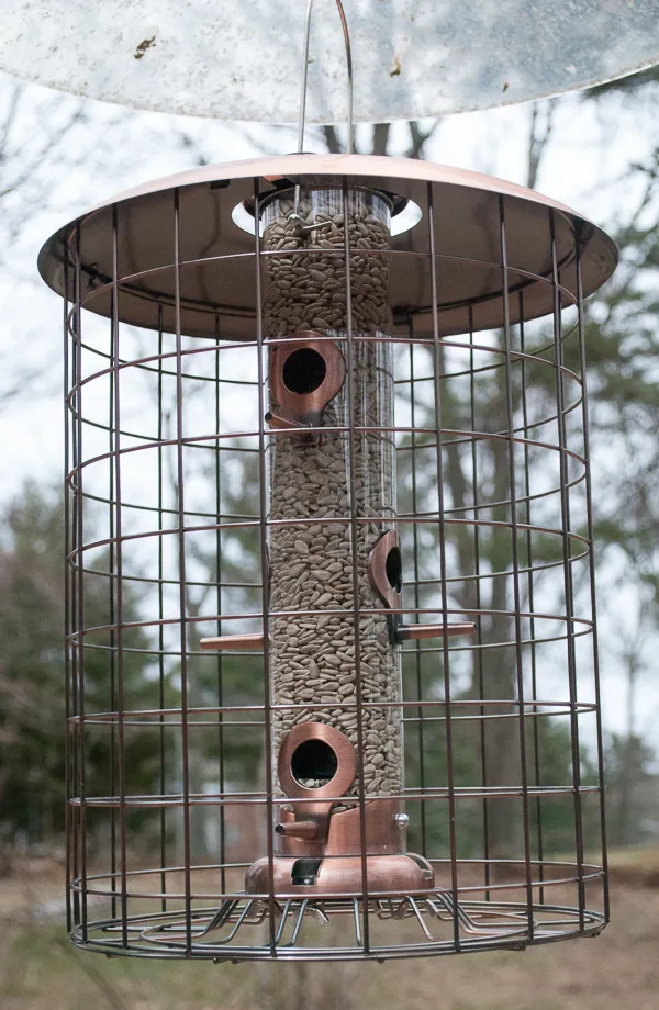 Woodlink Caged Seed Feeder