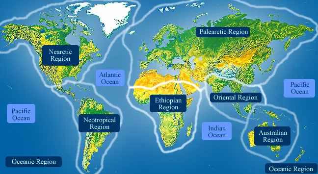World Map illustrating tropical rainforest habitats