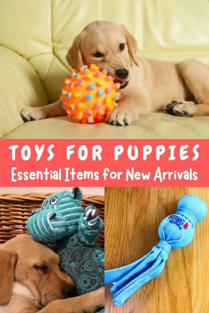 Yellow Lab puppy with various toys