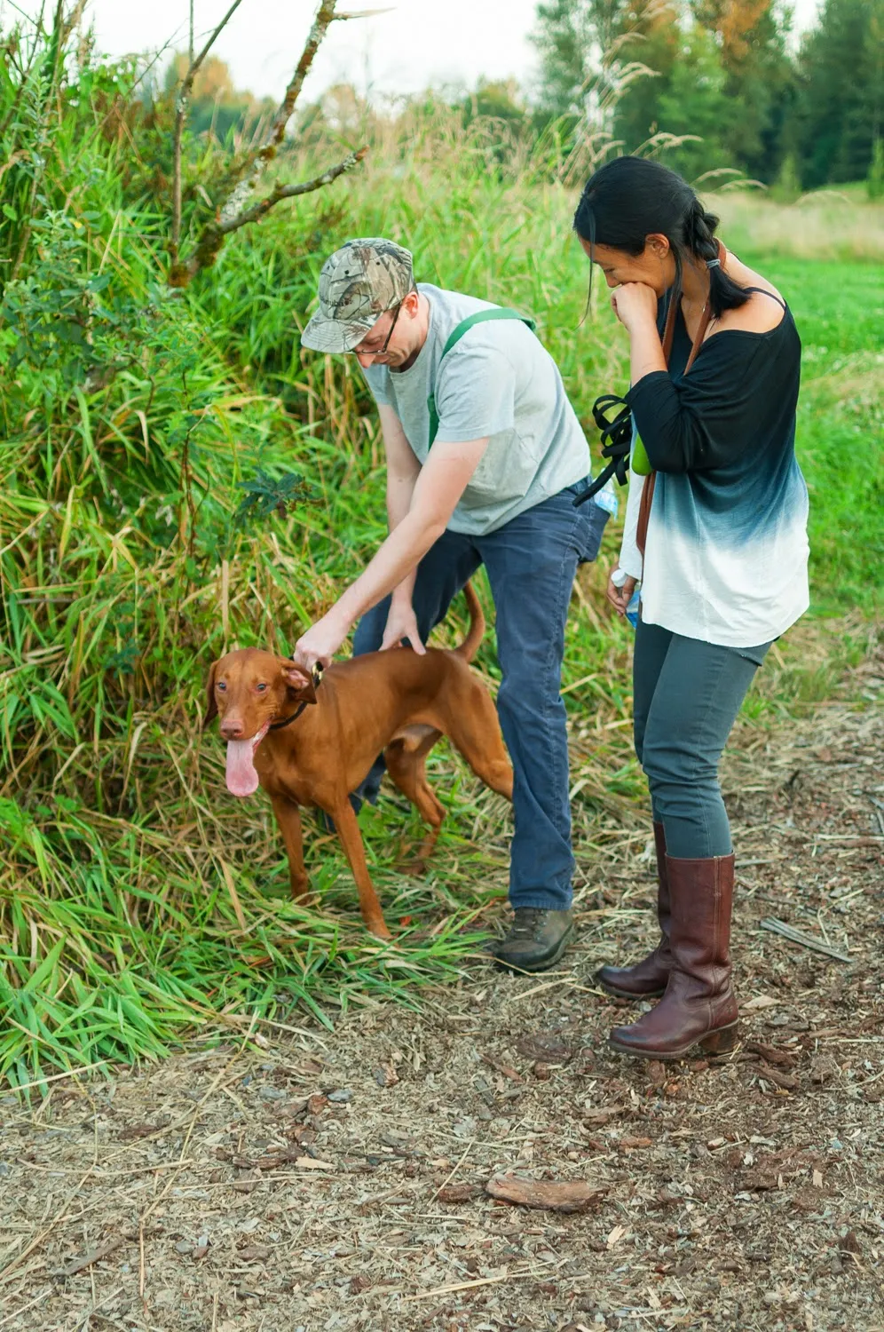 Yoffi pulling and ready to hunt