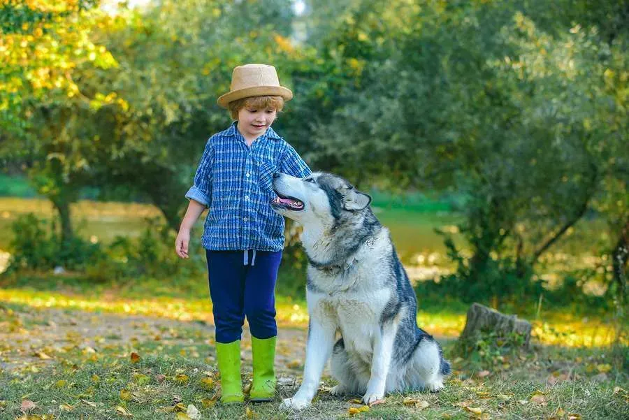 Young boy happily playing with his dog in the yard