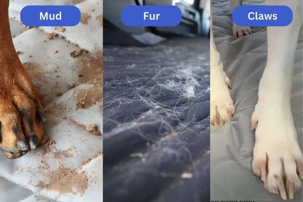 A car's back seat covered in mud and dog fur