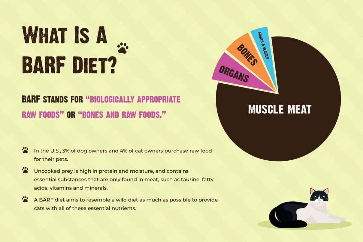 A cat looking at a bowl of raw food