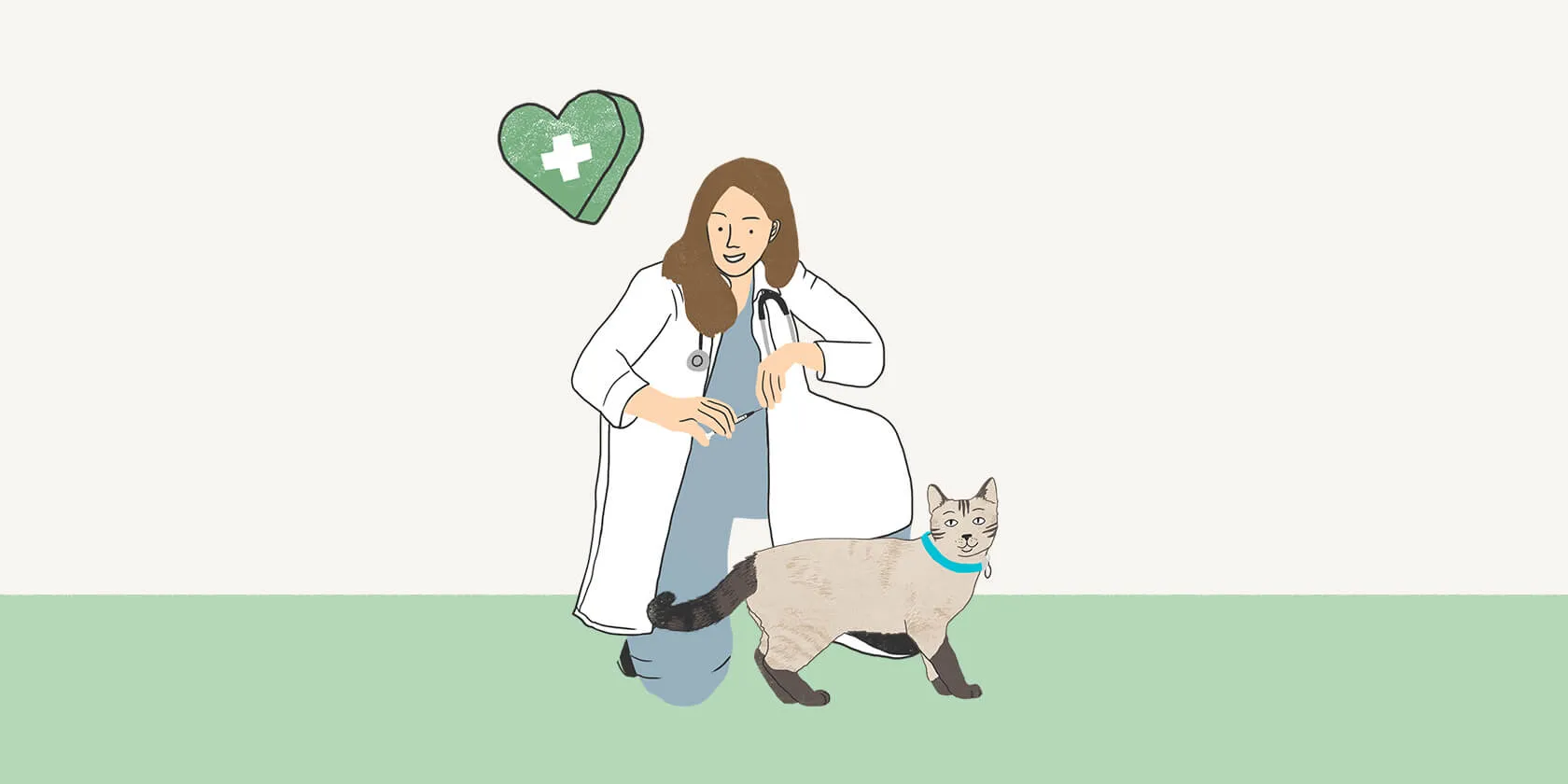 A cat receiving a vaccine from a veterinarian.