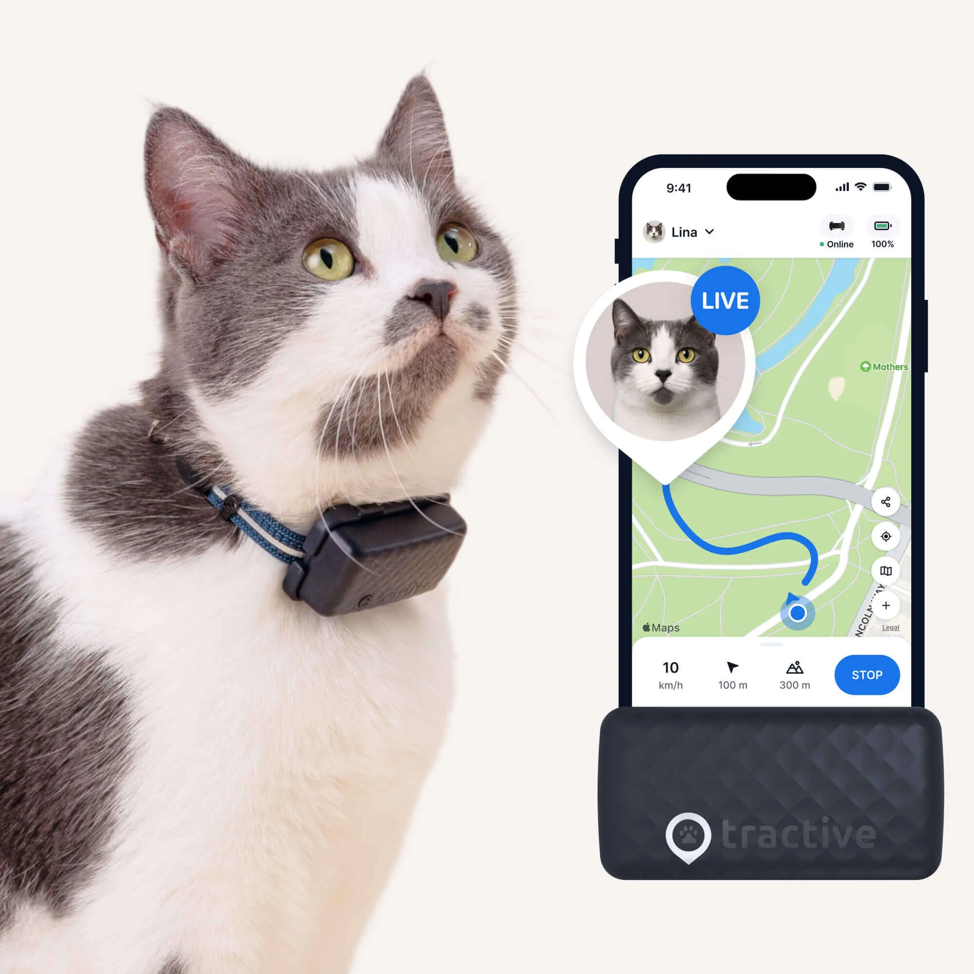 A cat wearing a Tractive Smart GPS Cat Tracker, with a screenshot of the cat tracking app and collar