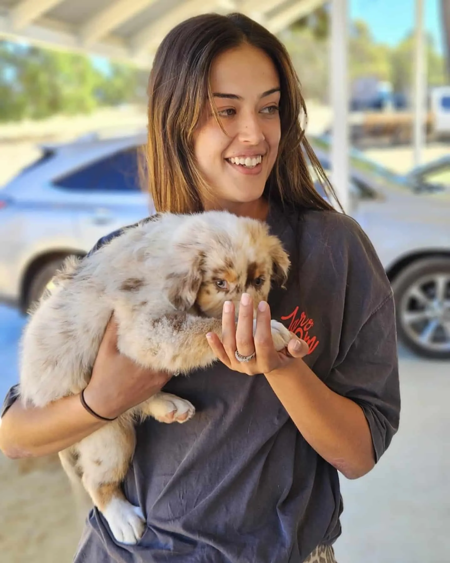 A couple smiling while holding an Australian Shepherd puppy.