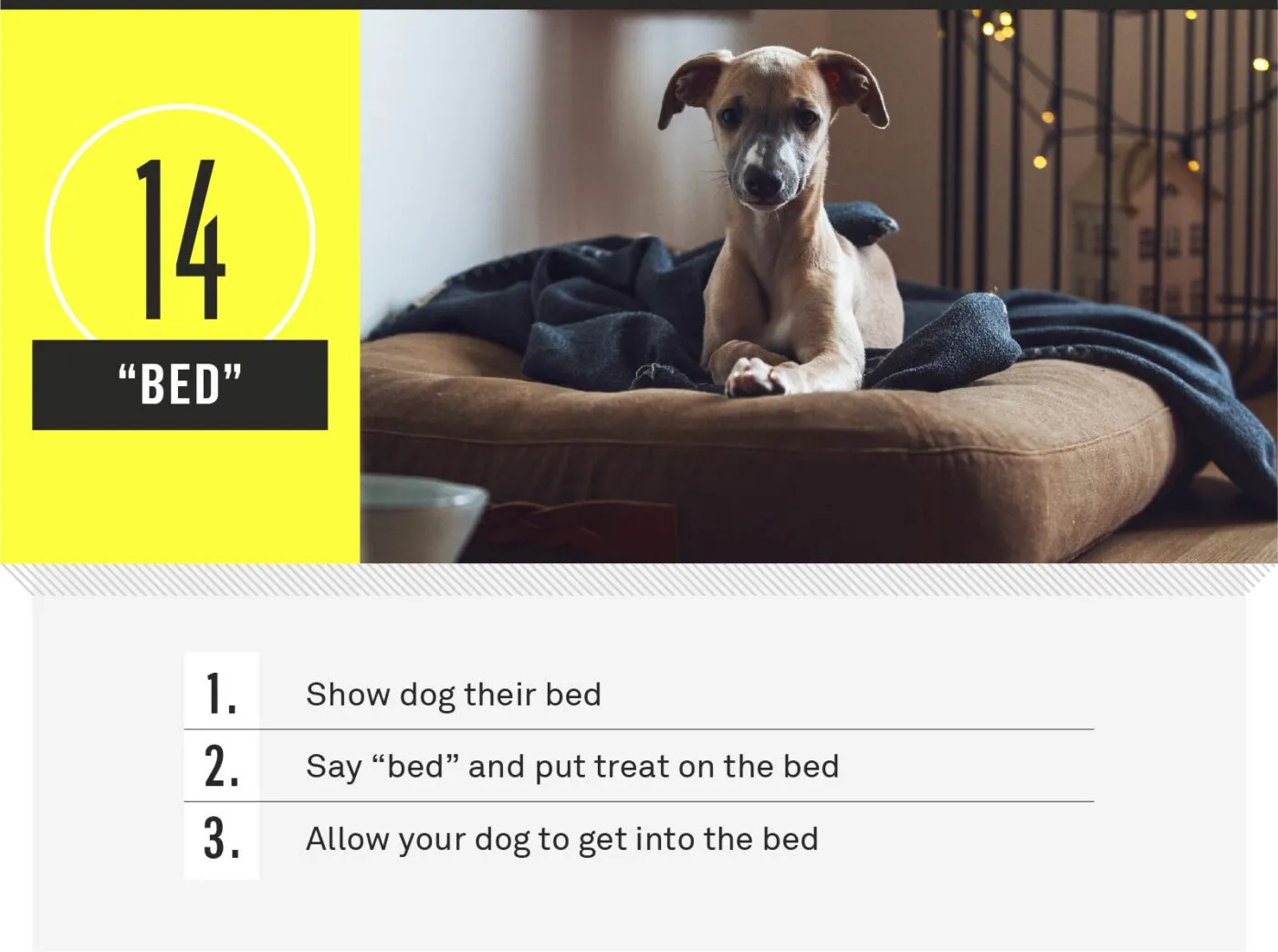 A dog settling down on its bed.