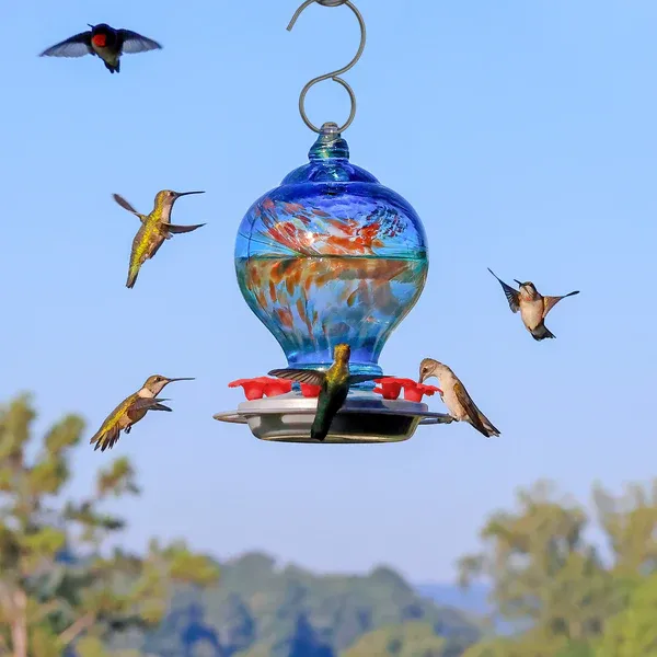A hummingbird feeder in a natural setting.