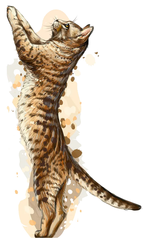 A leaping Bengal cat with distinctive markings, representing the beauty of Bengal kittens.